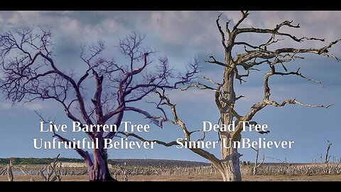The Unfruitful Believer and Sinner are alike.