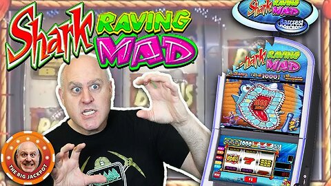 🦈Shark Raving Mad Bonus Fun 🦈 $25 Bet Reel Slots on The Norwegian Bliss!