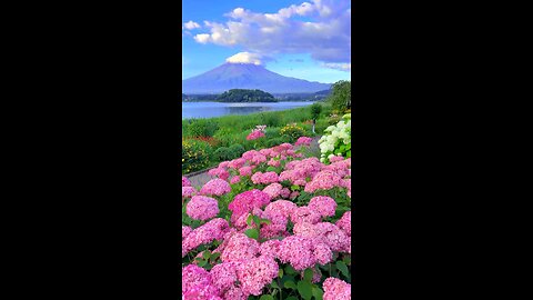 Fuji Japan