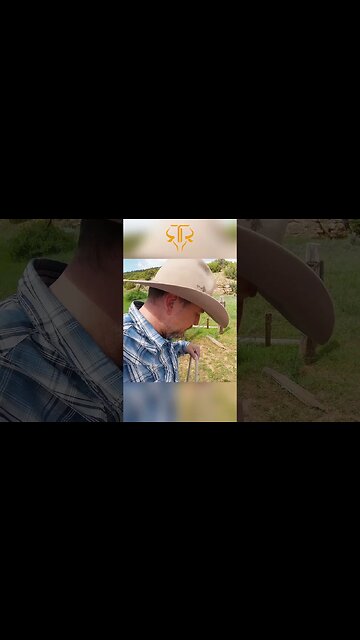 Can You Make a Horse Drink? Old Saying in Montana's Cowboy Country 🐎💧