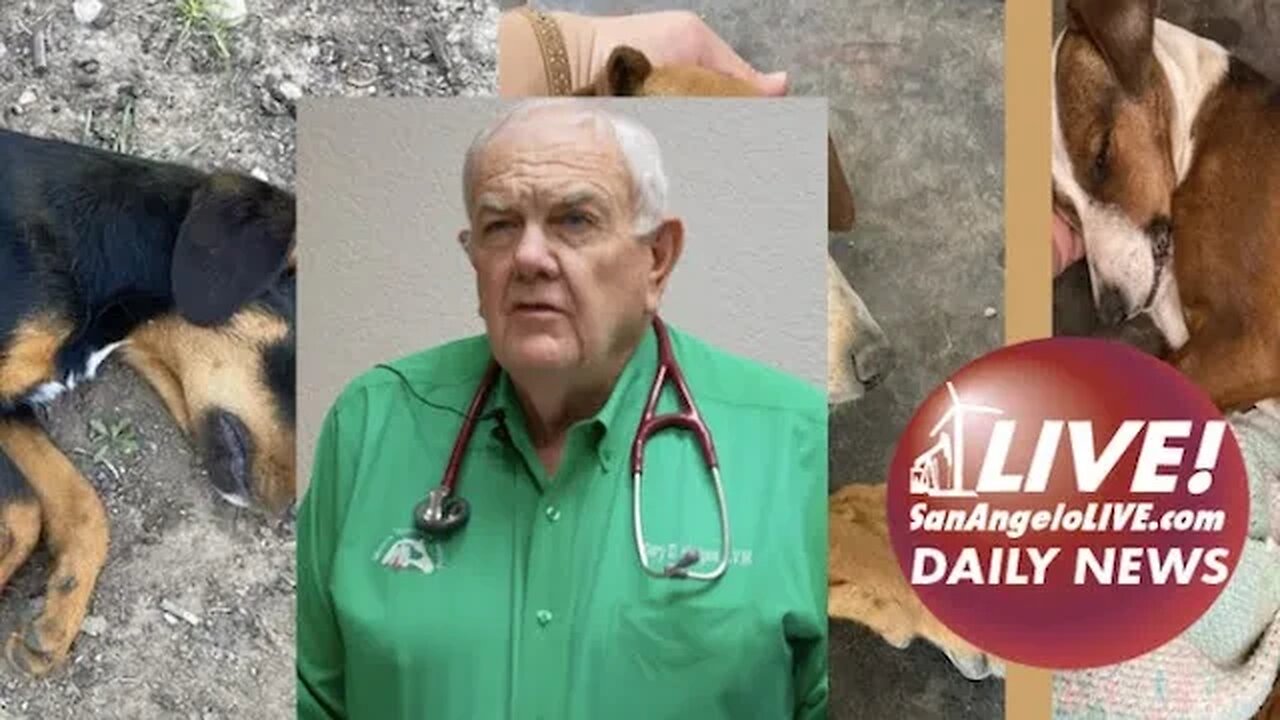 LIVE DAILY NEWS | EXCLUSIVE: Dr. Gary Hodges and the Three Dying Dogs
