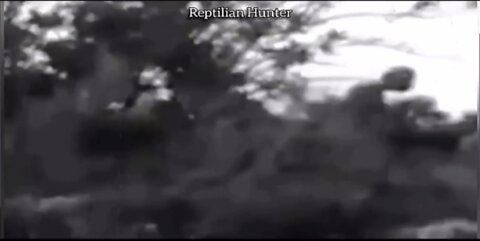 MORE REPTILIAN HUNTER VIDEO B