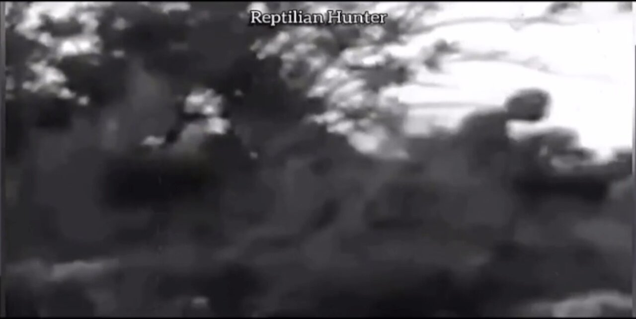 MORE REPTILIAN HUNTER VIDEO B