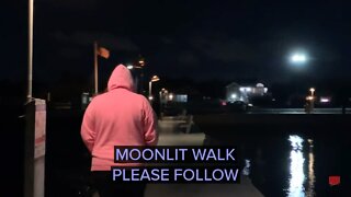 Moonlit Boardwalk Stroll