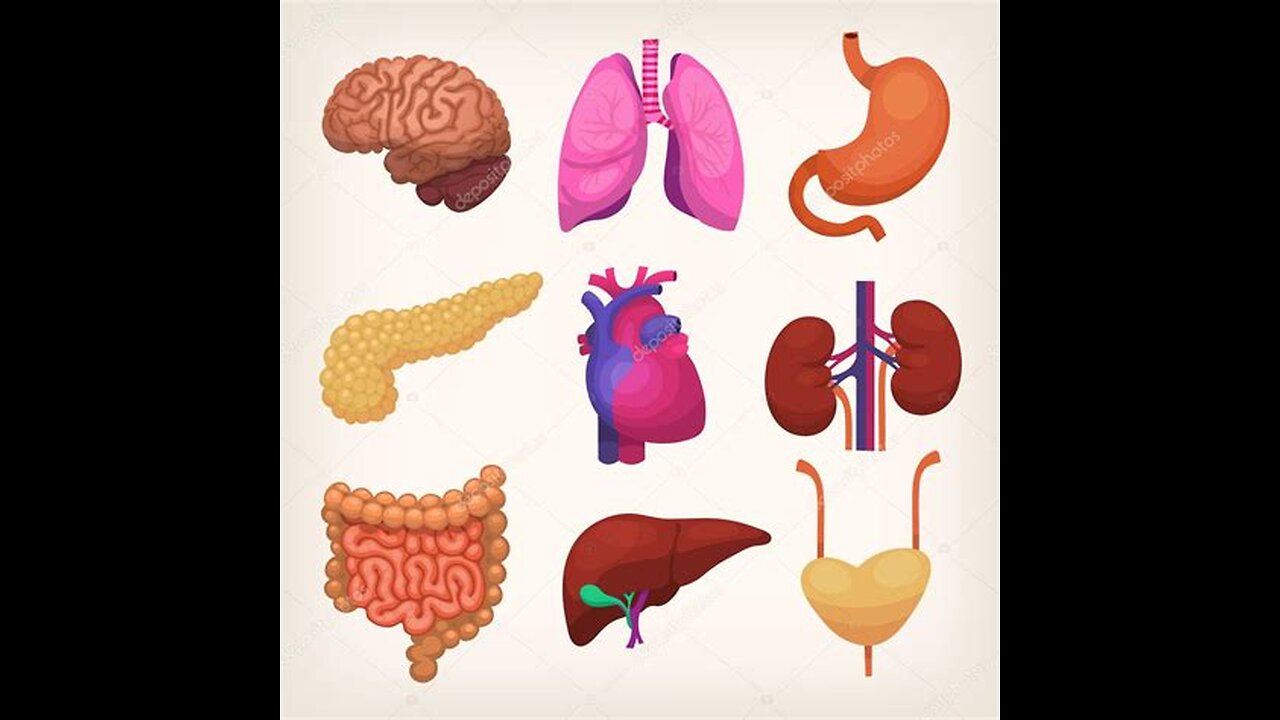 SEUS ÓRGÃOS PERTENCEM AO GOVERNO