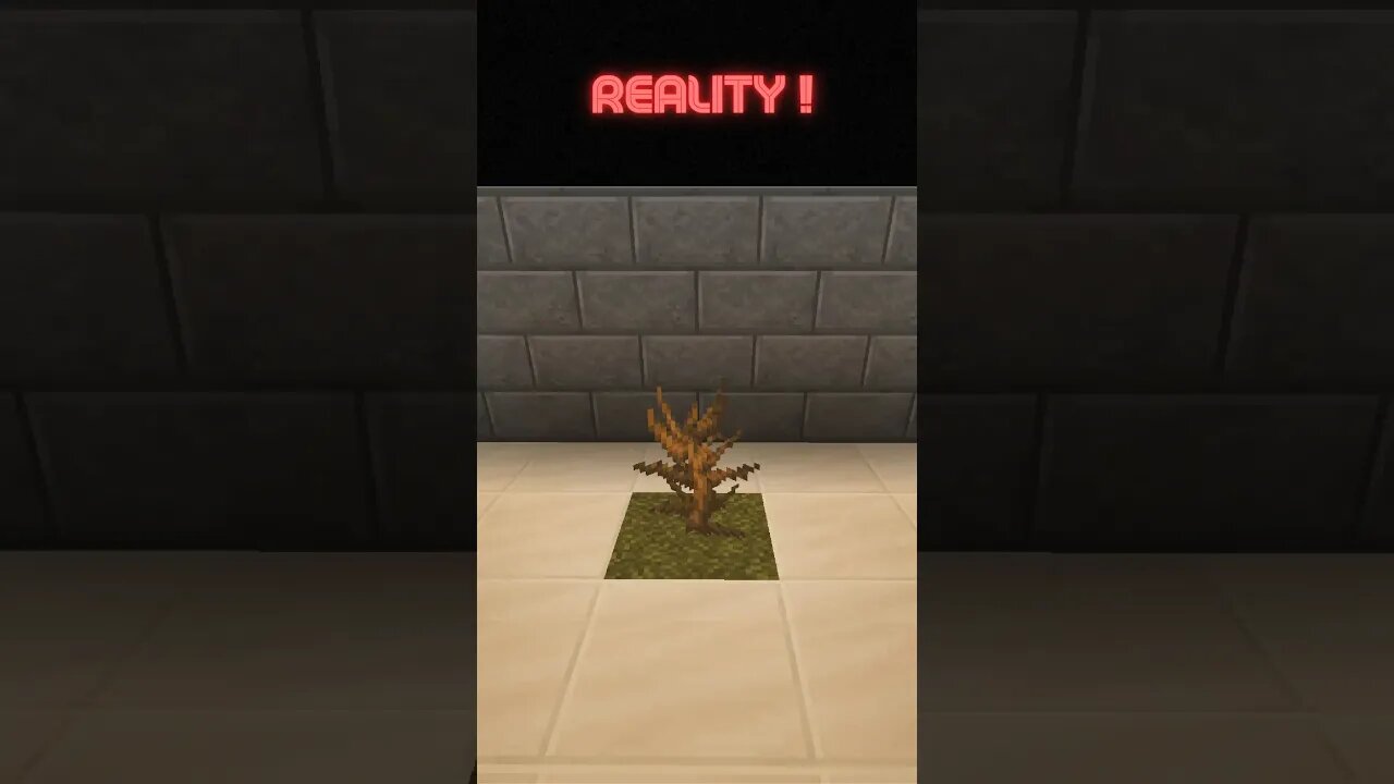 Minecraft Reality Vs Realistic - Dead Bush #minecraft #minecraftshorts #minecraftrealistic #shorts