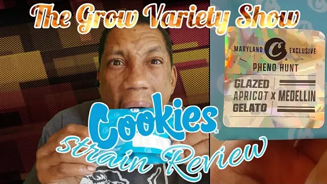 Glazed apricot x Medellion strain Review (The Grow Variety Show ep.252)