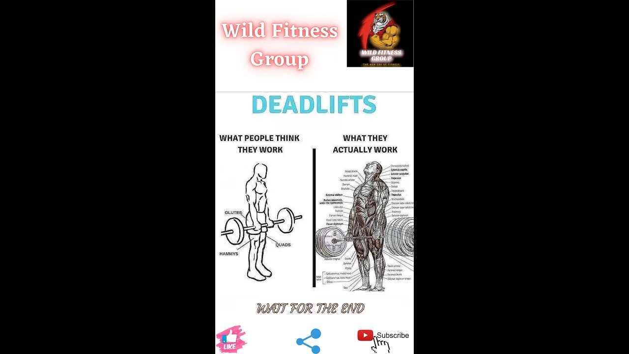 🔥Deadlifts🔥#shorts🔥#viralshorts🔥#fitnessshorts🔥#wildfitnessgroup🔥