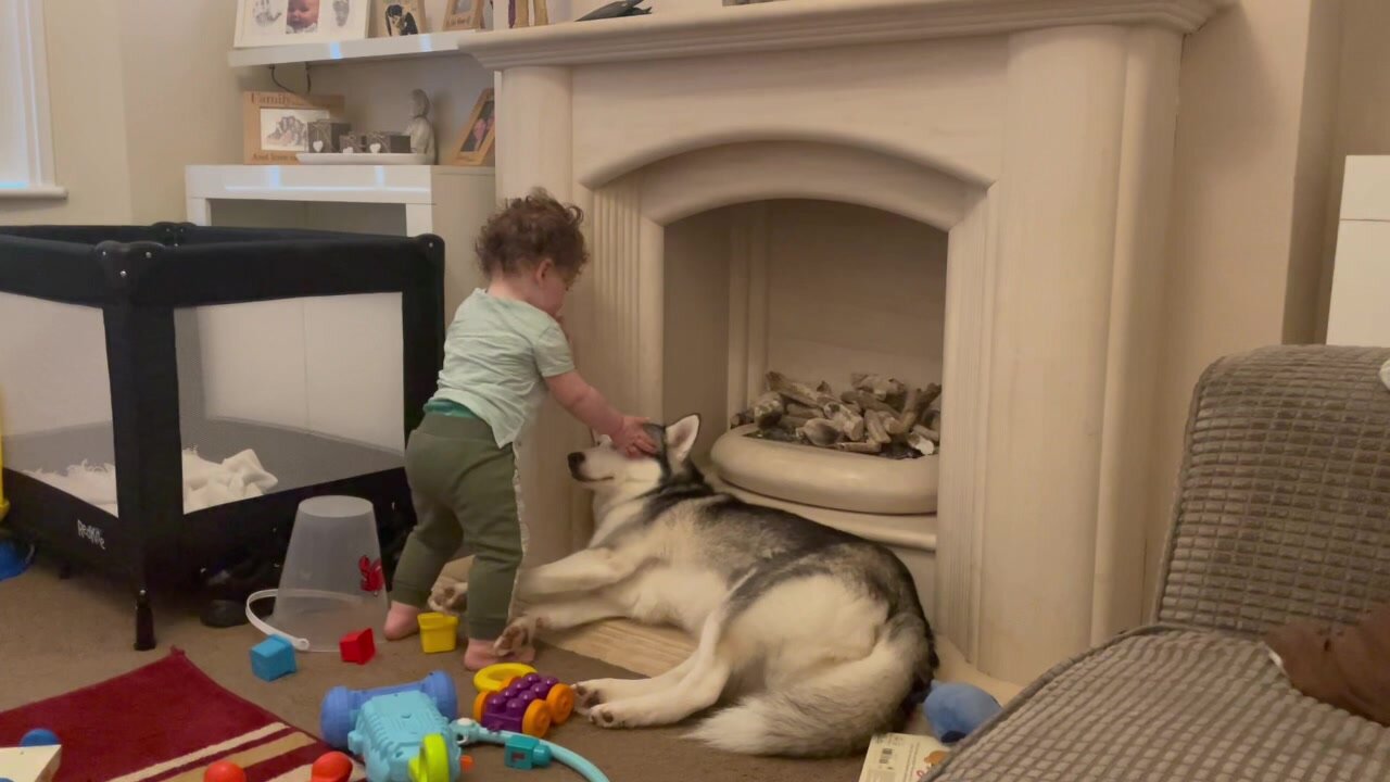 Baby hugging her beloved dog