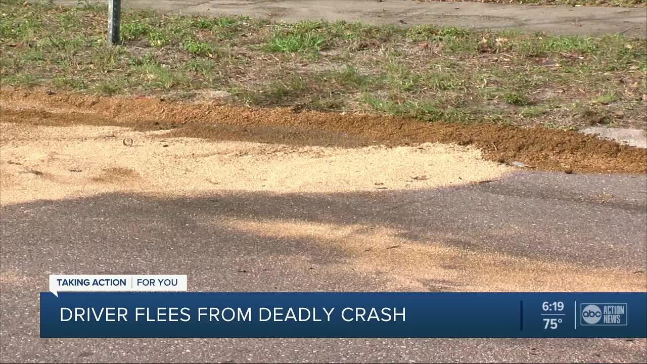 St. Petersburg police search for suspect of deadly hit-and-run crash