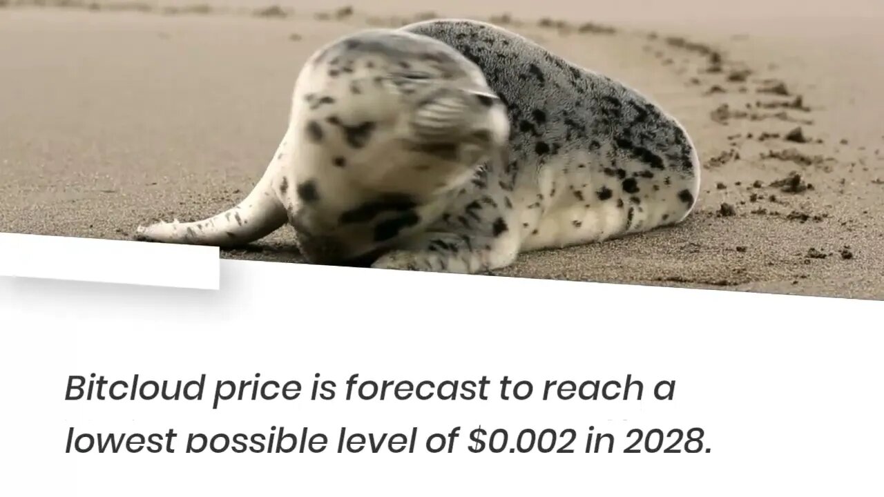 Bitcloud Price Prediction 2023, 2025, 2030 BTDX Cryptocurrency Price Prediction