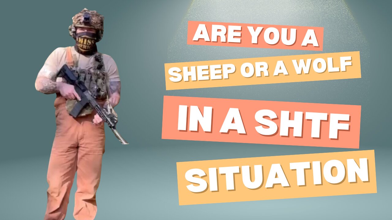 Survival Test: Are You the Wolf, Sheep, or Sheepdog in a SHTF Scenario?