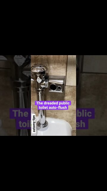 Master the Public Restrooms: You Got This! | #Shorts | Preview of This Week’s Video