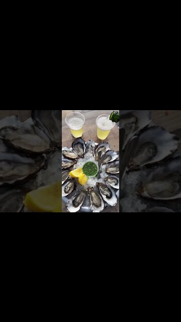 All i need in life. #oysters #pinkiesup #lowcarb #Shorts