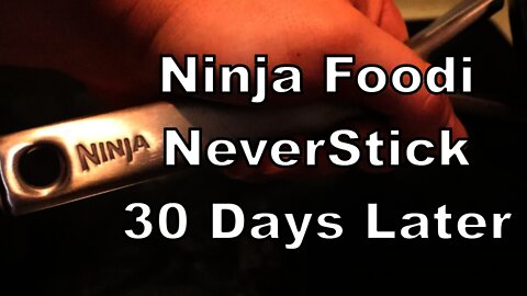 Ninja Foodi NeverStick review 30 days later