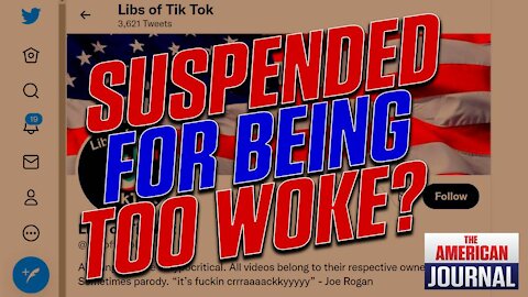 Twitter Suspends Libs of TikTok Account For Exposing Duck Duck Go’s Racist Hiring Practices