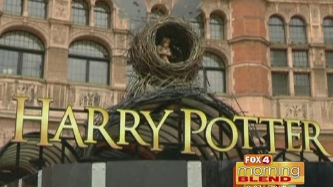 Harry Potter His Broadway! 12/6/16