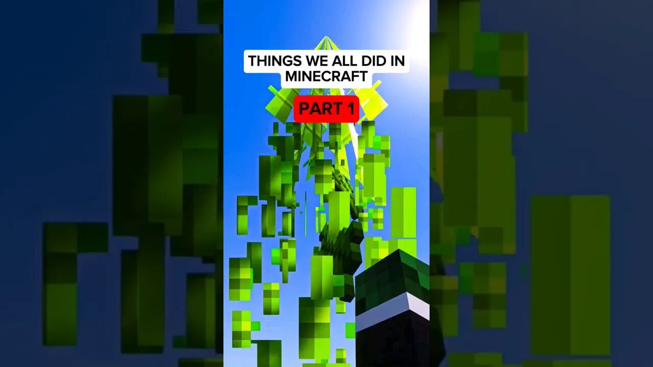 Things We All Did In Minecraft | Part 1