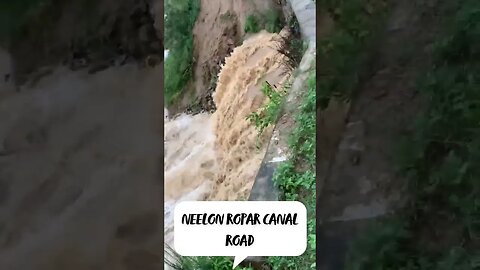 Neelon Ropar Canal Road #ropar #shorts #trending #ytshorts