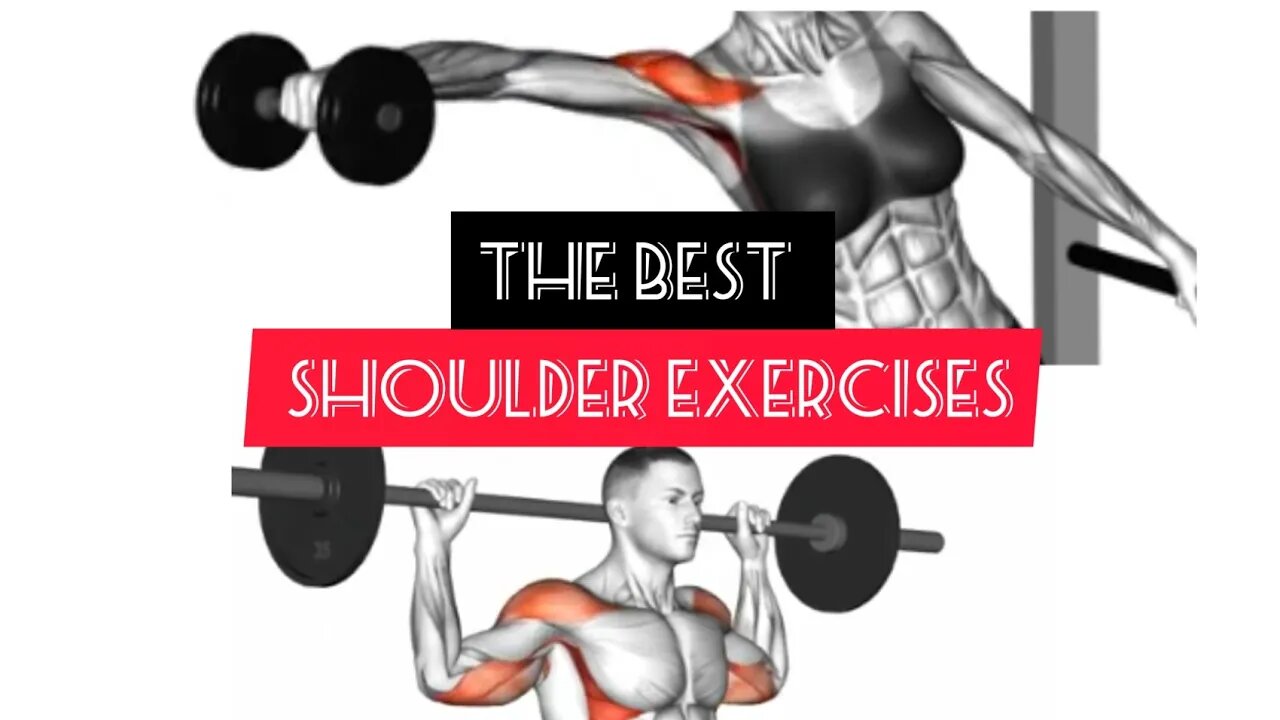 Best shoulder exercises (barbell and dumbbells only)