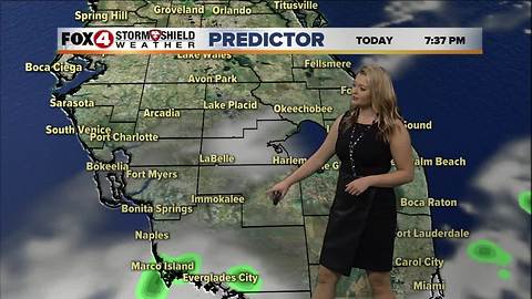 Warm and Sunny Weather this Week