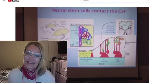 The Cerebrospinal Fluid & the Fluid Nature of Consciousness React