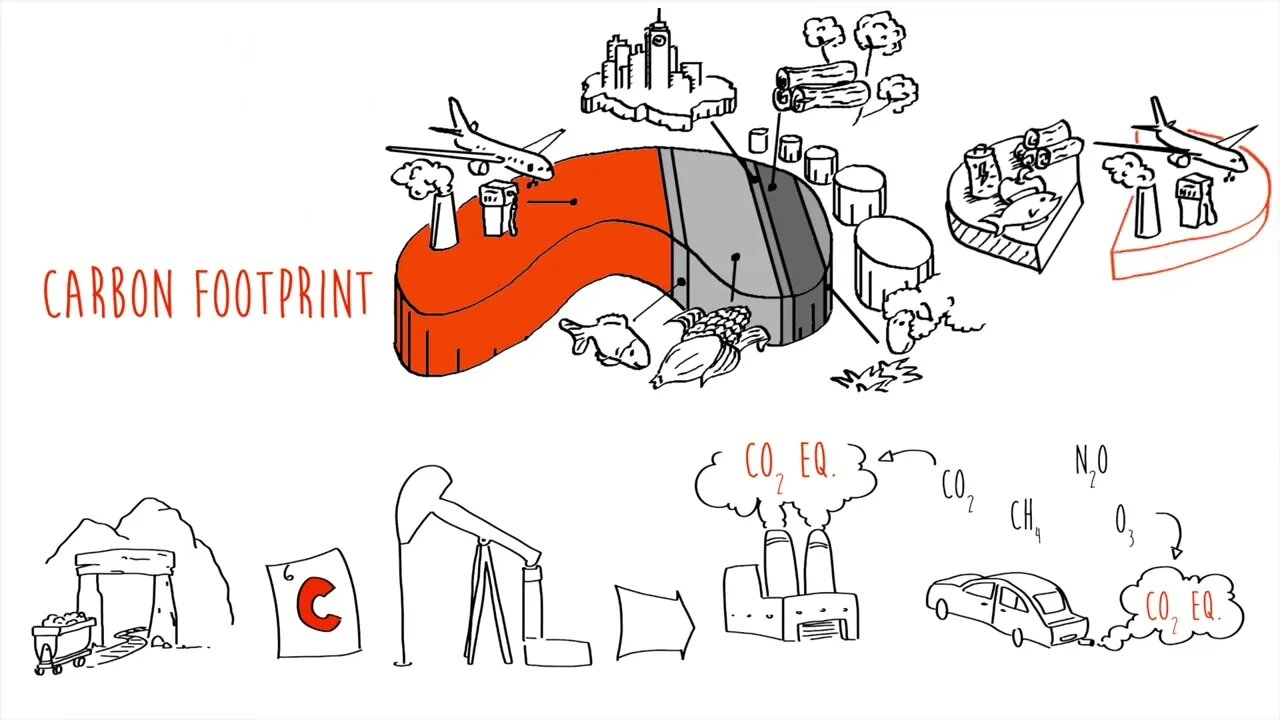 What is a CARBON FOOTPRINT How to calculate and reduce it Climate change 1