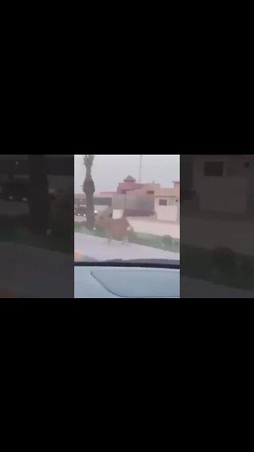 ٧ نوفمبر، ٢٠٢٢