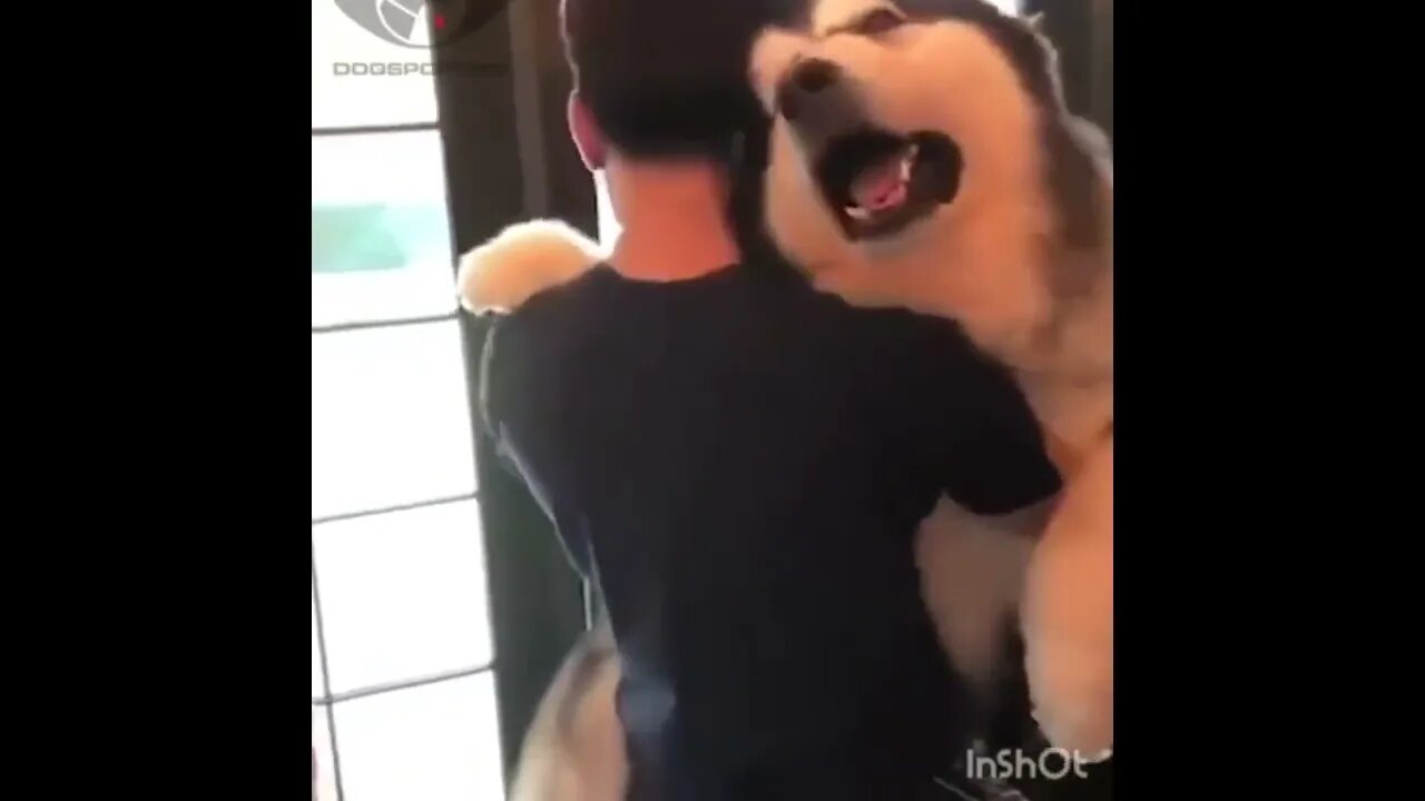 Never too big for a hug
