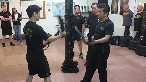 Wing Chun - Baat Jaam Do / Butterfly Swords Flow and Application