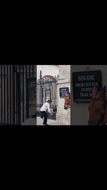 she puts toys against wall #horseguardsparade