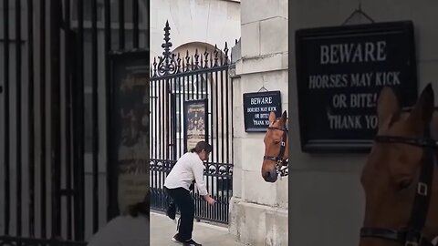she puts toys against wall #horseguardsparade