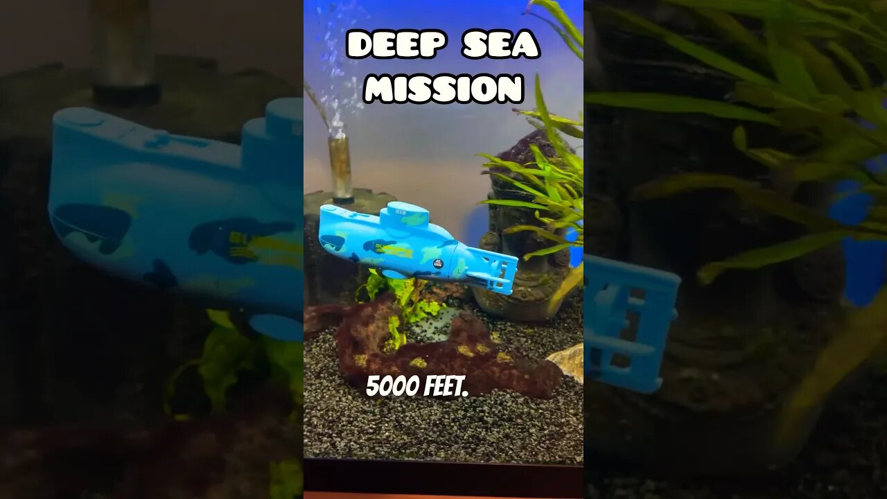 DEEP SEA SUBMARINE MISSION IN MY FISH TANK #fancygoldfish #goldfishtank #submarine #ranchu