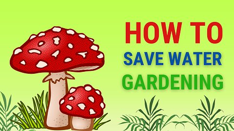 Save water while gardening
