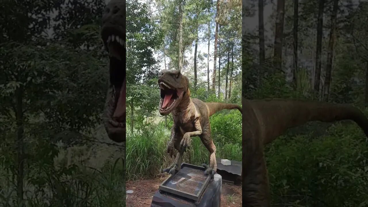 Awas hati - hati ada Velociraptor! #dinosaurs #velociraptor #kamunanya #fyp