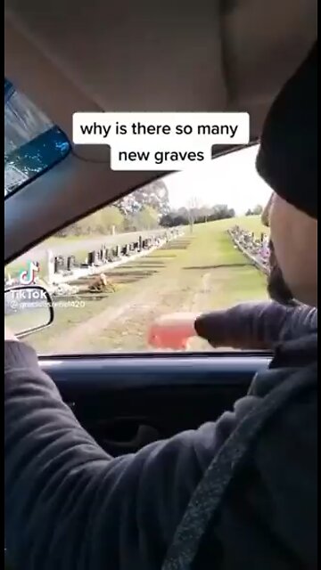 Graveyards are busy
