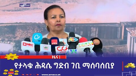 የታላቁ ሕዳሴ ግድብ ገቢ ማሰባሰቢያ