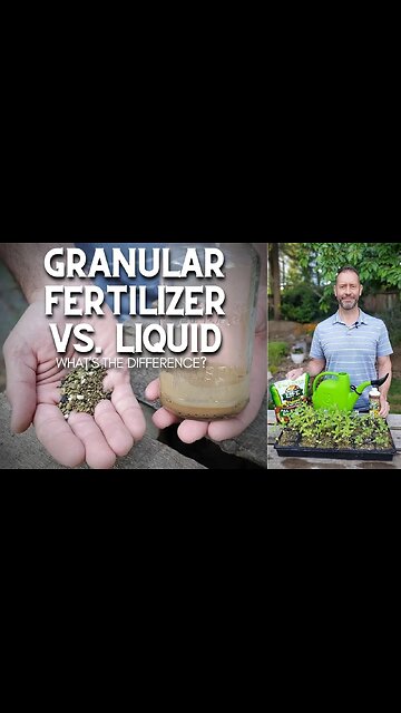 🌿 Granular Fertilizer vs. Liquid - What's the Difference? #shorts 🌿