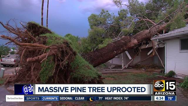 Crews working to clean up extensive storm damage in Phoenix