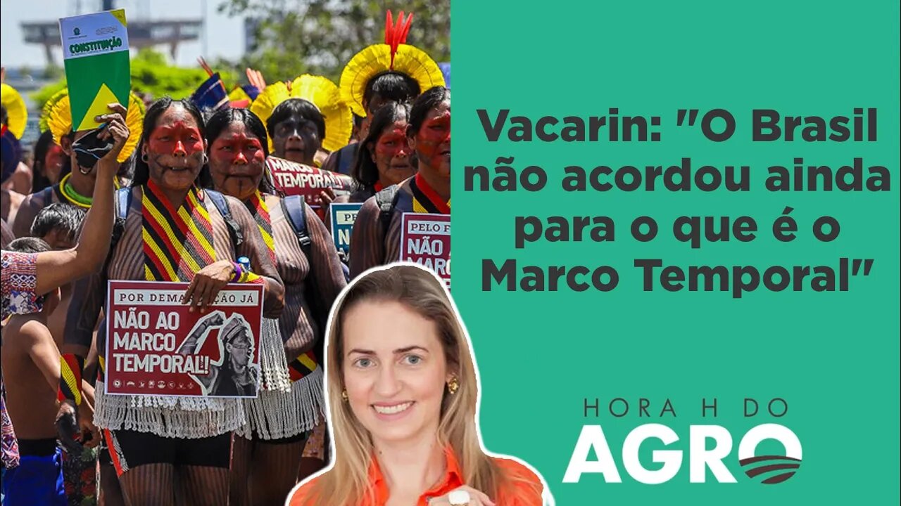 170 famílias de agricultores podem perder as terras em Cunha Porã (SC) | HORA H DO AGRO