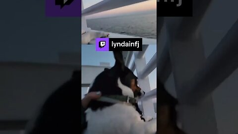 🏞🌄Sunset Ferry THEN Dog Beach Road Trip Doggos/Shoutouts/Song Requests/F... | lyndainfj on #Twitch