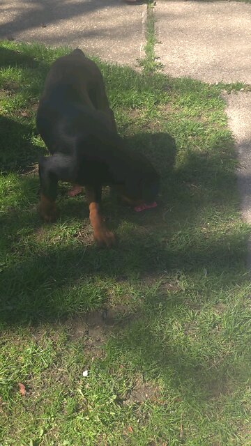 He Working 💪 Lucian