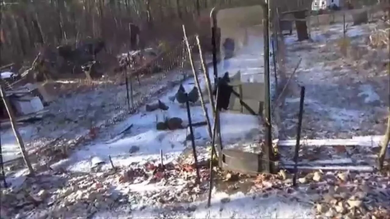 Sunny Day Using Solar Power In My Off Grid Tiny Home