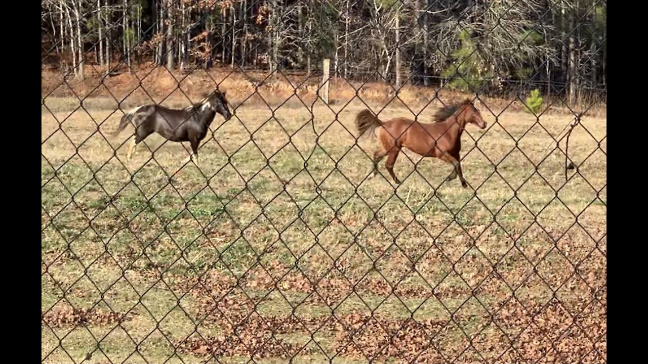 Spring is in the air in Alabama