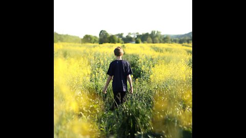 Episode 244: Dramatic Transformation for 10 Year Old Boy When Pharmaceuticals Replaced With CBD