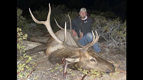 Kill Shot on Late Rifle Arizona Bull Elk, Nov 2020