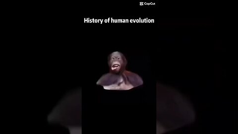 #evolution Of #man #history #change #evolve #monkey #crazy #wild #aesthetic #muscle #modern #fitness