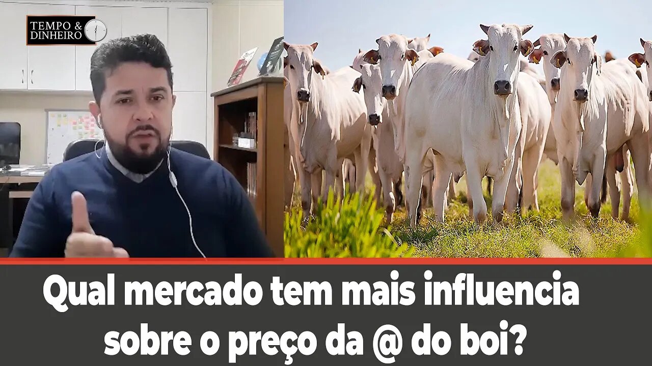 Qual mercado tem mais influencia sobre o preço da @ do boi? Celso Ricardo comenta