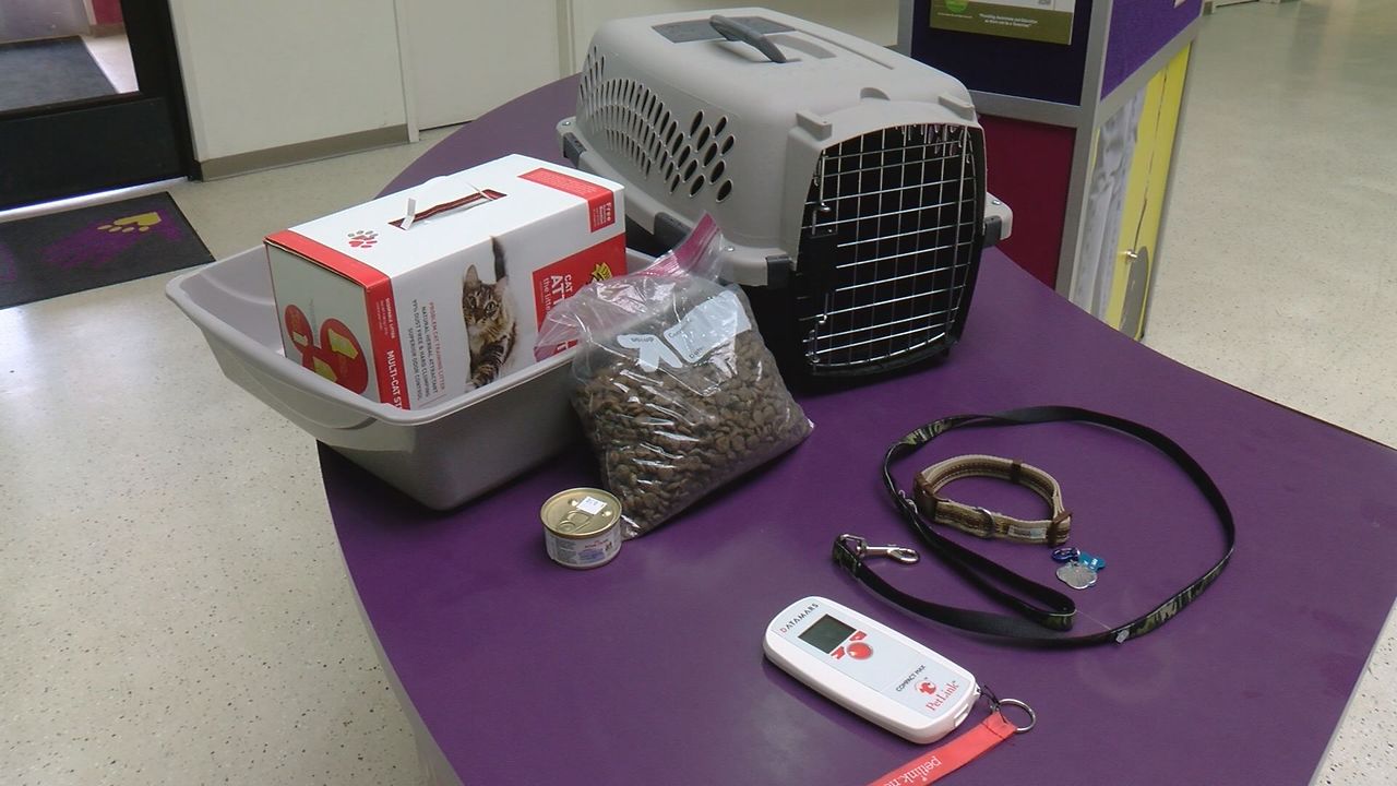 Pet preparedness in disasters