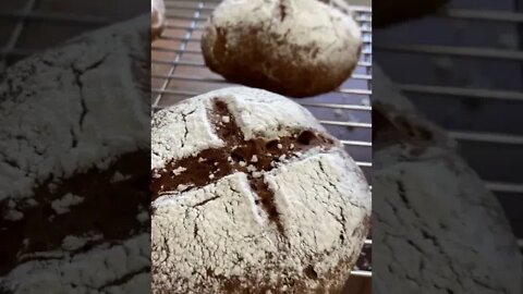 #Shorts - Pão Integral de Café com Nozes e Passas ao Rum - Sem Glúten e Sem Lactose